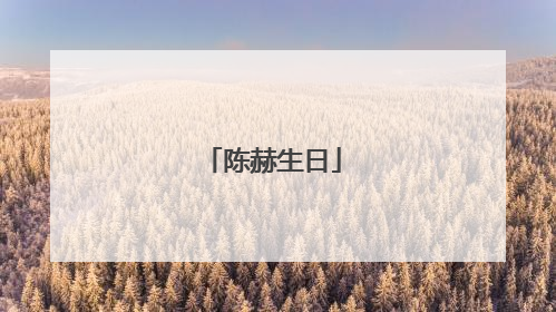 陈赫生日