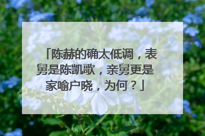 陈赫的确太低调，表舅是陈凯歌，亲舅更是家喻户晓，为何？