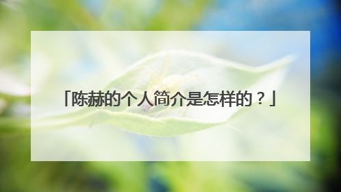 陈赫的个人简介是怎样的？