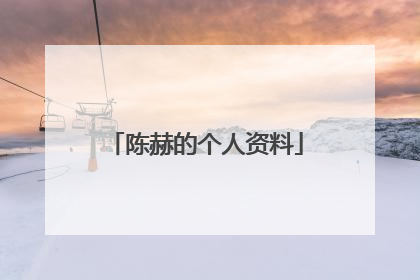 陈赫的个人资料
