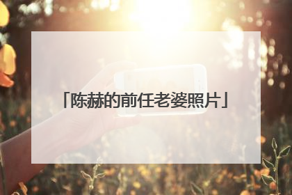 陈赫的前任老婆照片