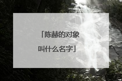陈赫的对象叫什么名字