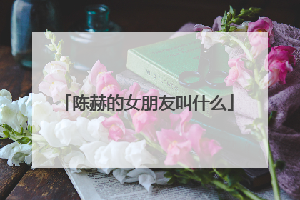 陈赫的女朋友叫什么