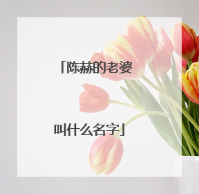 陈赫的老婆叫什么名字