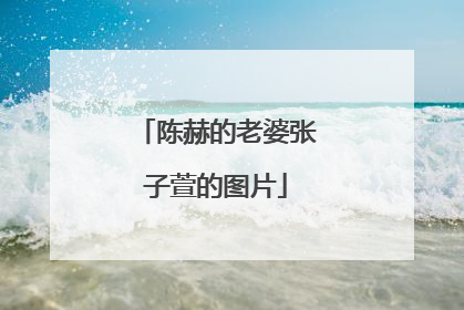 陈赫的老婆张子萱的图片