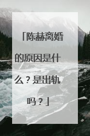 陈赫离婚的原因是什么？是出轨吗？