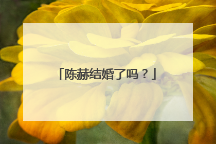 陈赫结婚了吗?