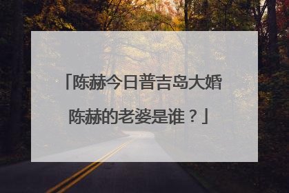 陈赫今日普吉岛大婚 陈赫的老婆是谁？