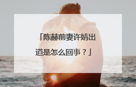 陈赫前妻许婧出道是怎么回事？