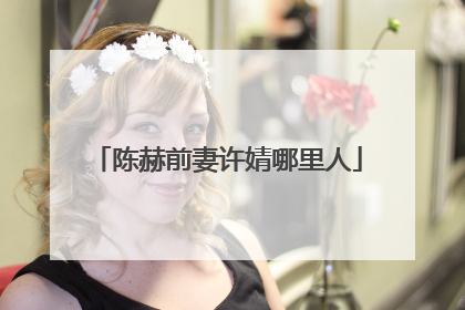 陈赫前妻许婧哪里人