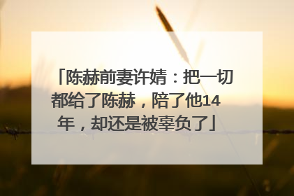 陈赫前妻许婧：把一切都给了陈赫，陪了他14年，却还是被辜负了