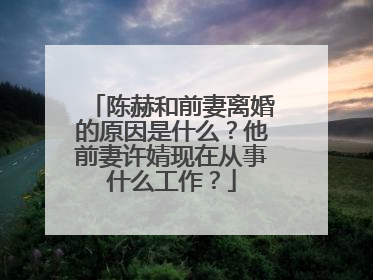 陈赫和前妻离婚的原因是什么？他前妻许婧现在从事什么工作？