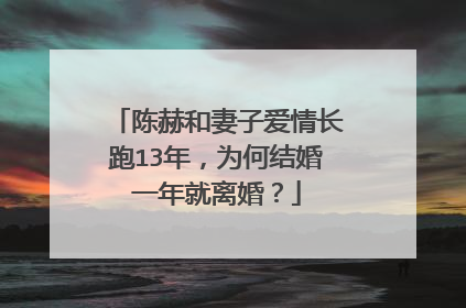 陈赫和妻子爱情长跑13年，为何结婚一年就离婚？