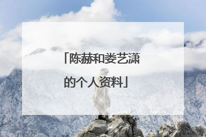 陈赫和娄艺潇的个人资料