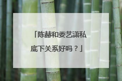 陈赫和娄艺潇私底下关系好吗?