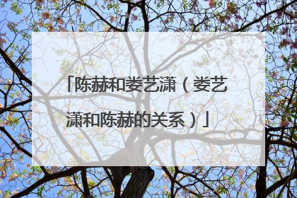 陈赫和娄艺潇(娄艺潇和陈赫的关系)