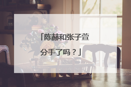 陈赫和张子萱分手了吗?