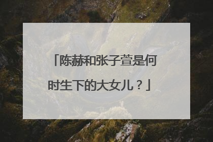 陈赫和张子萱是何时生下的大女儿？