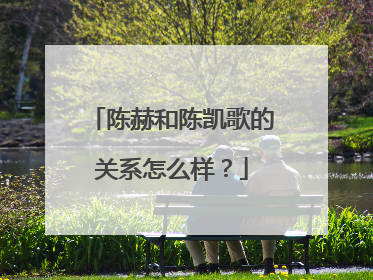 陈赫和陈凯歌的关系怎么样？