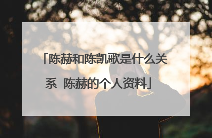 陈赫和陈凯歌是什么关系 陈赫的个人资料