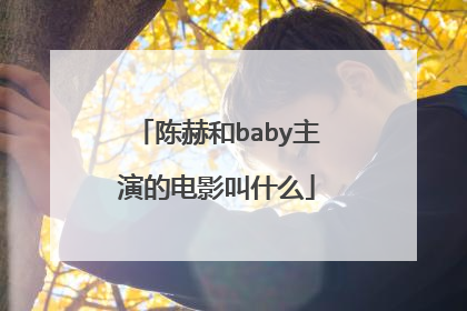 陈赫和baby主演的电影叫什么
