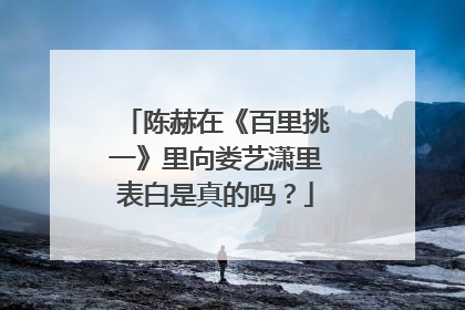 陈赫在《百里挑一》里向娄艺潇里表白是真的吗？