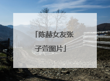 陈赫女友张子萱图片