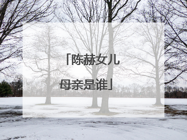 陈赫女儿母亲是谁