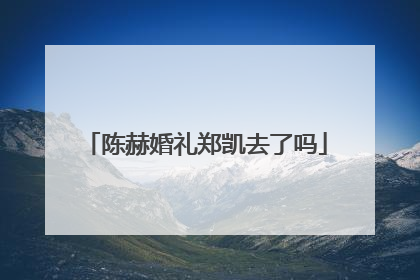 陈赫婚礼郑凯去了吗