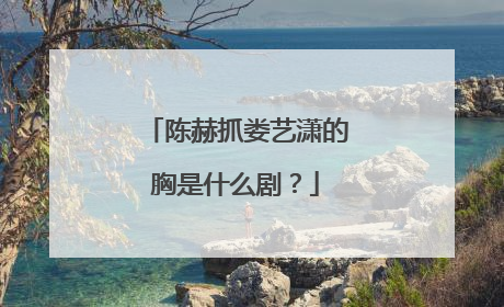 陈赫抓娄艺潇的胸是什么剧?