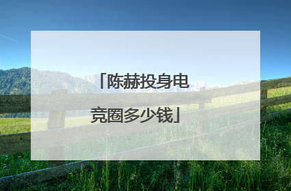 陈赫投身电竞圈多少钱