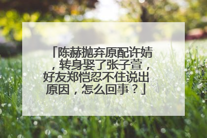 陈赫抛弃原配许婧,转身娶了张子萱,好友郑恺忍不住说出原因,怎么回事?