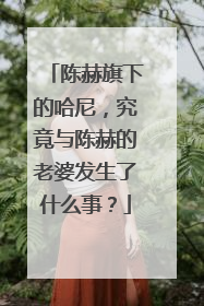 陈赫旗下的哈尼,究竟与陈赫的老婆发生了什么事?