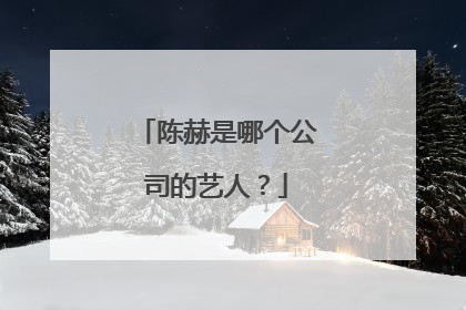 陈赫是哪个公司的艺人？