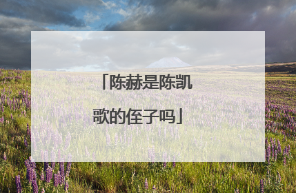 陈赫是陈凯歌的侄子吗