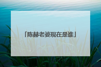 陈赫老婆现在是谁