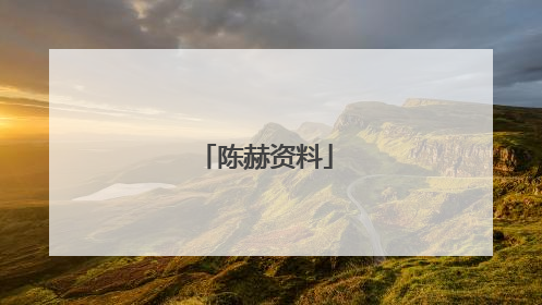 陈赫资料