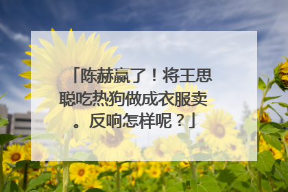 陈赫赢了！将王思聪吃热狗做成衣服卖。反响怎样呢？