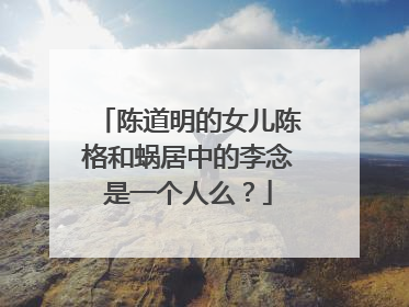 陈道明的女儿陈格和蜗居中的李念是一个人么?