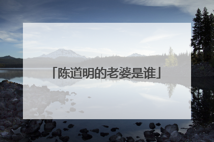 陈道明的老婆是谁