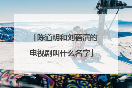 陈道明和刘蓓演的电视剧叫什么名字