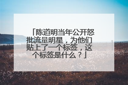 陈道明当年公开怒批流量明星,为他们贴上了一个标签,这个标签是什么?