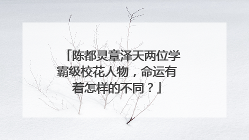 陈都灵章泽天两位学霸级校花人物，命运有着怎样的不同？