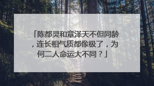 陈都灵和章泽天不但同龄，连长相气质都像极了，为何二人命运大不同？