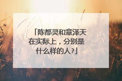 陈都灵和章泽天在实际上，分别是什么样的人?