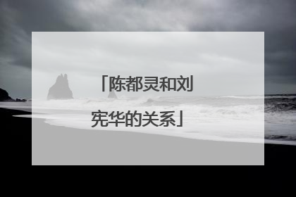 陈都灵和刘宪华的关系