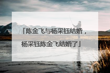 陈金飞与杨采钰结婚,杨采钰陈金飞结婚了