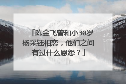 陈金飞曾和小30岁杨采钰相恋，他们之间有过什么恩怨？