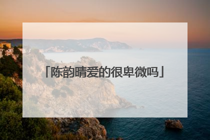 陈韵晴爱的很卑微吗