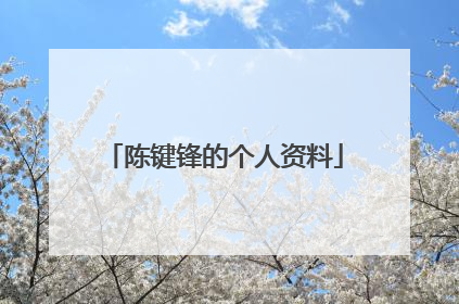 陈键锋的个人资料